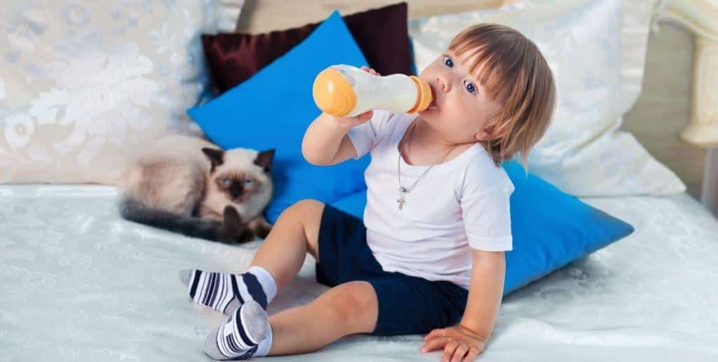 Dziecko pijące z butelki obok kota