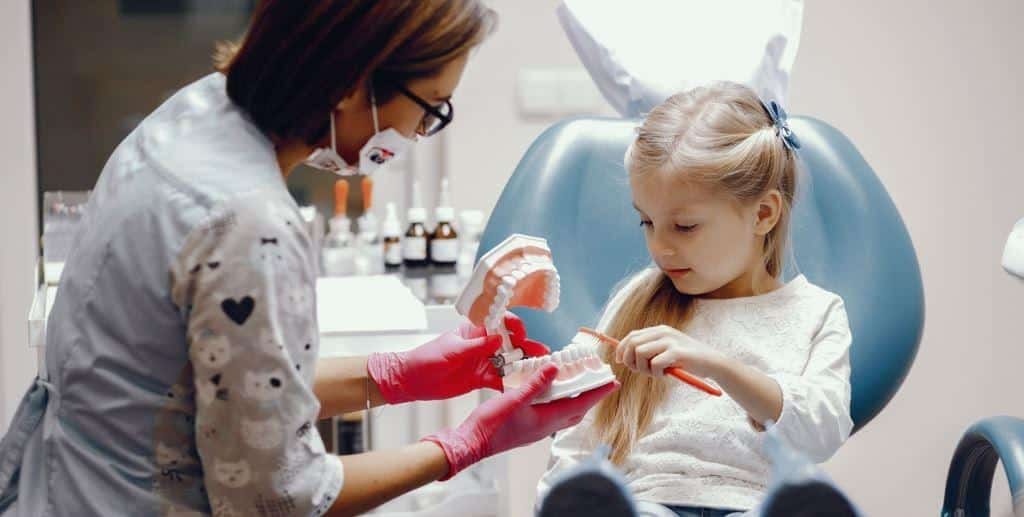 Dziecko i dentystka oglądają model zębów