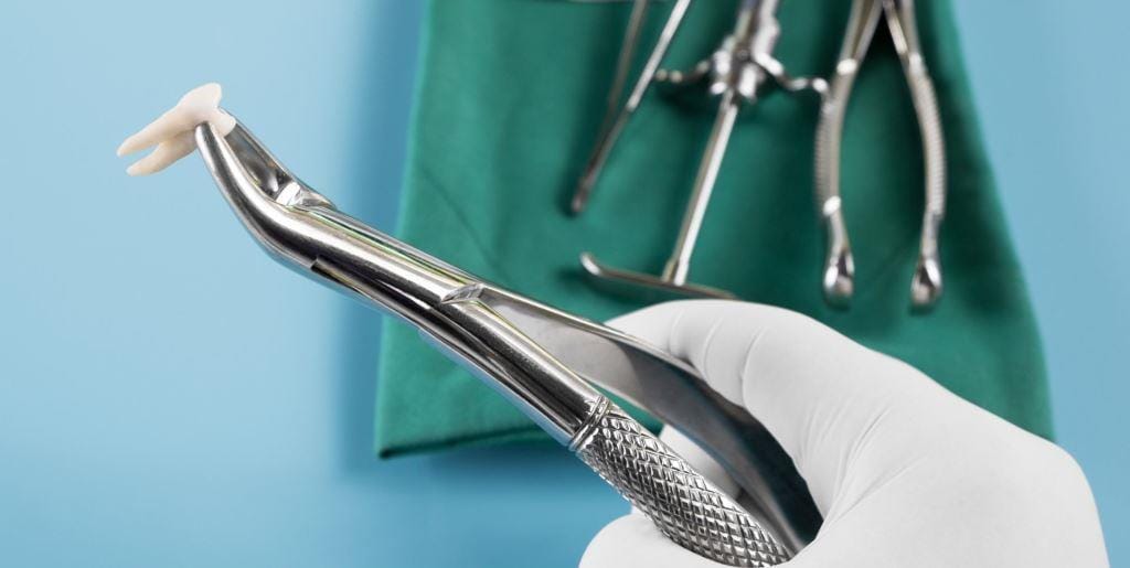 Kleszcze dentystyczne z usuniętym zębem