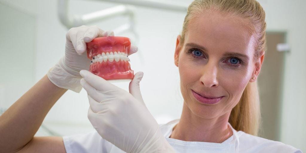 Osoba z personelu stomatologicznego trzymająca model zębów i dziąseł