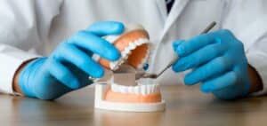 Obraz przedstawia ręce dentysty w niebieskich rękawiczkach podczas pracy nad modelami zębów. Dentysta trzyma szczęki z białymi sztucznymi zębami i za pomocą narzędzi dokonuje korekt lub napraw. Widać zbliżenie na miejsce pracy dentysty, przybory stomatologiczne i wyraźny obraz modeli zębów.
