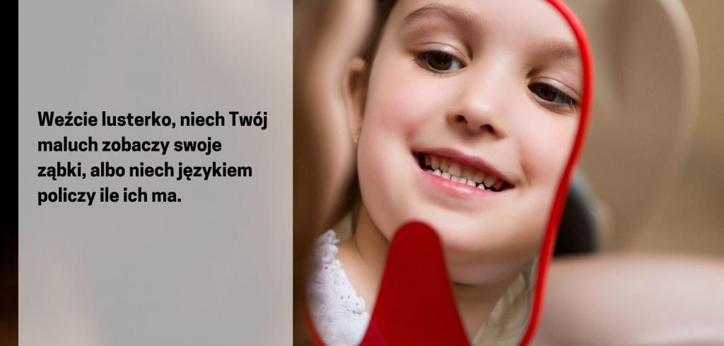 Take a mirror, let your toddler see his teeth, or let him count how many he has with his tongue. This will help him get used to the new situation and you will minimise your child's fear of the dentist