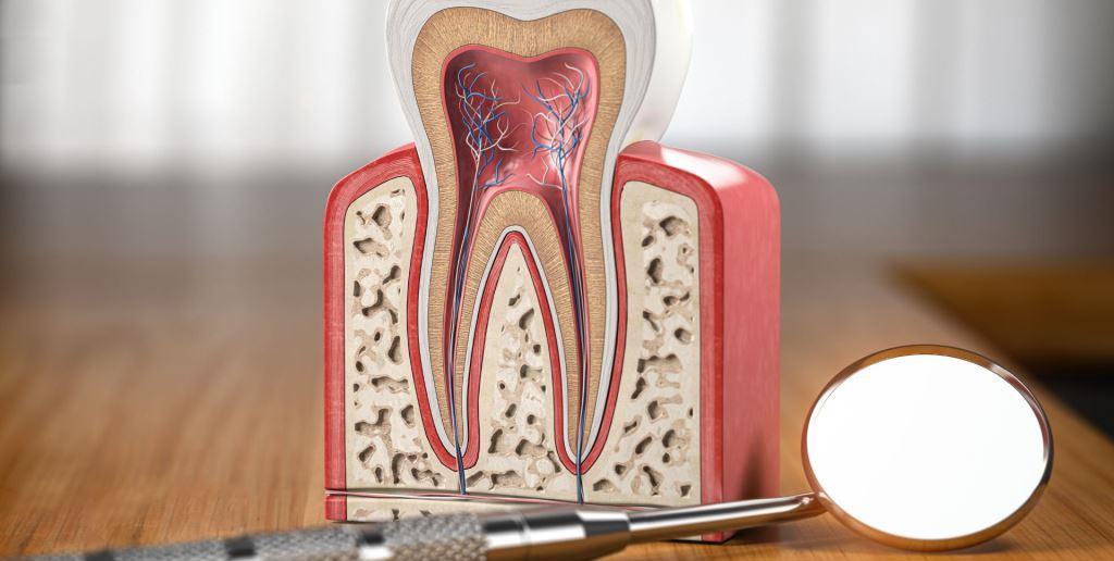 dentysta w UK